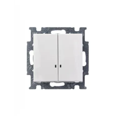 ABB Basic 55 Альп. белый Выключатель 2-клавишный с подсветкой | 1012-0-2154  | 2CKA001012A2154 | ABB