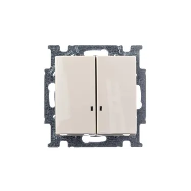 ABB Basic 55 Сл. кость Выключатель 2-клавишный с подсветкой | 1012-0-2157  | 2CKA001012A2157 | ABB