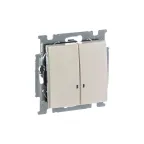 ABB Basic 55 Сл. кость Выключатель 2-клавишный с подсветкой | 1012-0-2157  | 2CKA001012A2157 | ABB