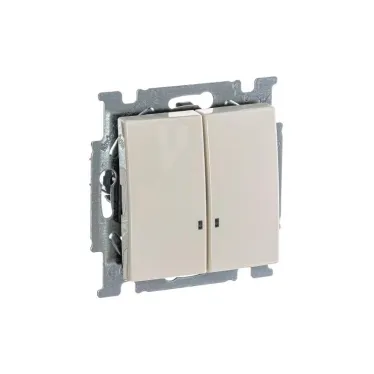 ABB Basic 55 Сл. кость Выключатель 2-клавишный с подсветкой | 1012-0-2157  | 2CKA001012A2157 | ABB