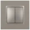 Переключатель Elegance 14-1106-16 двойной, 10АХ-250В, титан