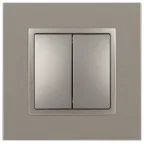 Переключатель Elegance 14-1106-16 двойной, 10АХ-250В, титан