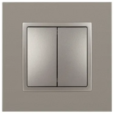 Переключатель Elegance 14-1106-16 двойной, 10АХ-250В, титан