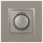 Светорегулятор Elegance 14-4101-16 поворотно-нажимной, 400ВА 230В, титан
