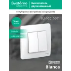 BLANCA скрытой установки двухклавишный выключатель (cх.5), 10A, 250B, белый