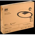 Светильник светодиодный консольный ДКУ Парк 2001-100Д 5000К IP65 IEK