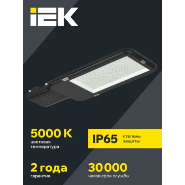 Светильник LED консольный уличный ДКУ 1013-120Д 5000К IP65