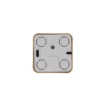 Розетка BLANCA наружная компьютерная RJ45, кат.5e, с изолирующей пластиной, ясень