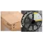 Лента LED 50м LSR-2835G60-4,8-IP67-220В IEK
