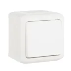 Quteo Белый Выключатель 1-клавишный IP44 10А | 782300 | Legrand