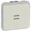 Plexo Белый Переключатель с индик. Лампами IP55 | 069612 | Legrand