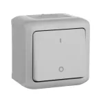                  Quteo Серый Выключатель двухполюсный IP44 | 782339 | Legrand
               