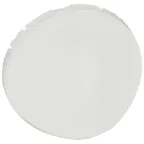                  Celiane Белый Накладка для светильника | 068054 | Legrand
               