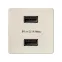 Зарядное устройство 2xUSB 2.1А 230В цвета слоновая кость S27 | 2701096-031 | Simon