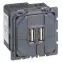 Celiane Мех USB розетки 2 ной | 067462 | Legrand