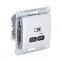 Glossa Перламутр USB Розетка тип-C 65W высокоскор.заряд. QC PD | GSL000627 | SE