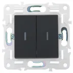 SKANDY Выключатель 2-клавишный 10А SK-V04G графит IEK