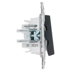 SKANDY Выключатель 2-клавишный 10А SK-V04G графит IEK