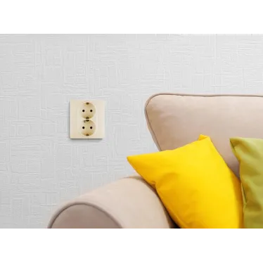 Розетка двойная с заземлением - Legrand Inspiria - со шторками в сборе 16А 250В безвинтовые зажимы - слоновая кость | 673756 | Legrand