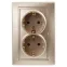 1-205-04 Intro Розетка 2X2P+E Schuko, 16А-250В, IP20, СУ, Plano, шампань | Б0030071 | Intro
