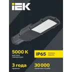 Светильник LED консольный уличный ДКУ 1002-100Д 5000К IP65 серый