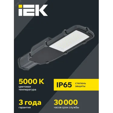 Светильник LED консольный уличный ДКУ 1002-100Д 5000К IP65 серый