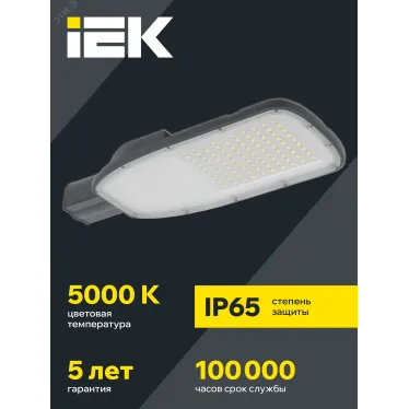 Светильник LED консольный уличный ДКУ 1004-200Ш 5000К IP65 серый