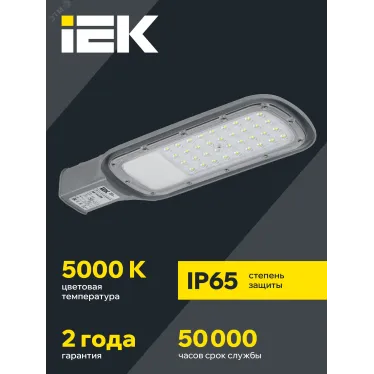 Светильник LED консольный уличный ДКУ 1012-50Ш 5000К IP65 серый