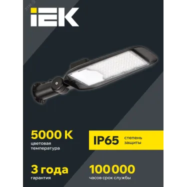 Светильник LED PRO консольный уличный ДКУ 1014-100Ш 5000К IP65