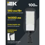 Светильник LED PRO консольный уличный ДКУ 1014-100Ш 5000К IP65