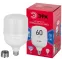 Лампа LED POWER T120-60W-6500-R E27/E40 R 60 Вт холодный белый свет колокол RED LINE ЭРА колокол RED LINE ЭРА