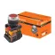Кнопка ABLFS-22 красный d22мм неон/230В 1з+1р  | SQ0704-0008 | TDM