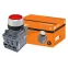 Кнопка с фиксацией MP2-21R(LED) в сборе d22мм/220В 1з+1р красная | SQ0747-0021 | TDM