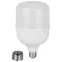 Лампа LED POWER T120-60W-6500-R E27/E40 R 60 Вт холодный белый свет колокол RED LINE ЭРА колокол RED LINE ЭРА