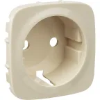 Valena ALLURE Сл.кость Накладка розетки с/з | 755206 | Legrand