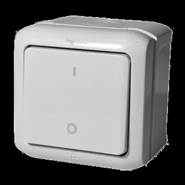 Quteo Серый Выключатель двухполюсный IP44 | 782339 | Legrand