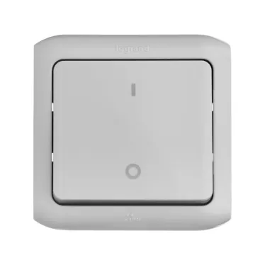 Quteo Серый Выключатель двухполюсный IP44 | 782339 | Legrand