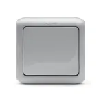 Quteo Серый Кнопка 1-клавишная IP44 6А | 782335 | Legrand