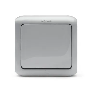 Quteo Серый Кнопка 1-клавишная IP44 6А | 782335 | Legrand