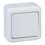 Quteo Серый Кнопка 1-клавишная IP44 6А | 782335 | Legrand