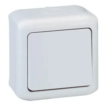 Quteo Серый Кнопка 1-клавишная IP44 6А | 782335 | Legrand