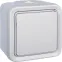 Plexo Белый Коробка 1-ая для наружного монтажа IP55 | 069689 | Legrand