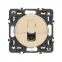 Celiane Сл. кость Накладка компьютерной 1-ой розетки | 066235 | Legrand