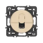 Celiane Сл. кость Накладка компьютерной 1-ой розетки | 066235 | Legrand