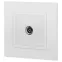 Розетка Elegance 14-3101-01М TV одиночная, белый матовый