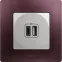 Зарядное устройство с двумя USB-разьемами тип A-тип С 240В/5В 3000мА - Etika - Цвет Алюминий