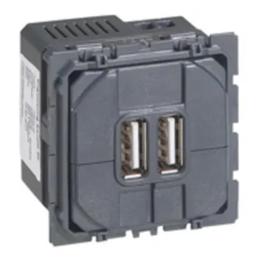 Celiane Мех USB розетки 2 ной | 067462 | Legrand