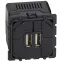 Celiane Мех USB розетки 2 ной | 067462 | Legrand