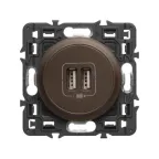 Celiane Мех USB розетки 2 ной | 067462 | Legrand