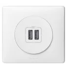 Celiane Мех USB розетки 2 ной | 067462 | Legrand